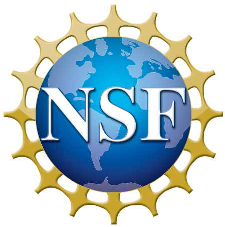 NSF logo